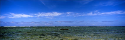 One Too Many - Fiji (PB00 4818)
