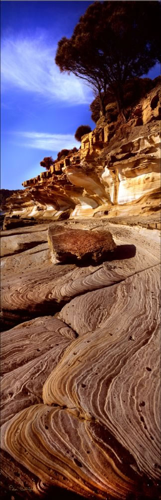 Painted Cliffs - Maria Island - TAS (PB00 5643)