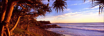 Pandanus Sunrise Coolum 1 -QLD (PB 003151)