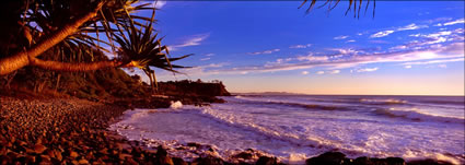 Pandanus Sunrise Coolum 2 - QLD (PB 003152)