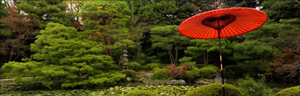 Parasol - Japan (PB H3D H 000089)