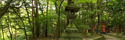 Path - Japan H (PBH3  00 0092)
