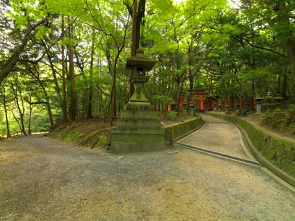 Path - Japan SQ (PBH3 00 0092)