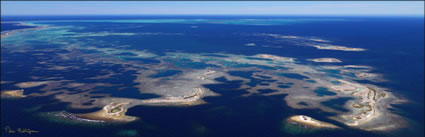 Pelsaert Group - Abrolhos - WA (PBH3 00 4742)