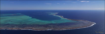 Pelsaert Island  - Abrolhos - WA (PBH3 00 4719)