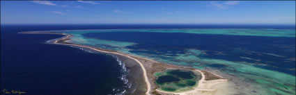 Pelsaert Island  - Abrolhos - WA (PBH3 00 4725)