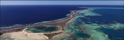 Pelsaert Island  - Abrolhos - WA (PBH3 00 4727)