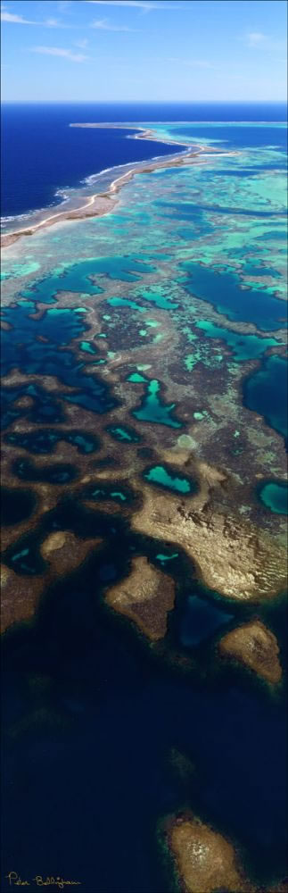 Pelsaert Island - Abrolhos - WA (PBH3 00 4736)