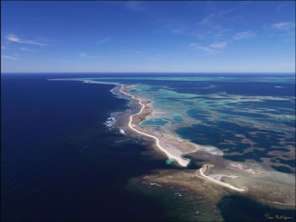 Pelsaert Island - Abrolhos - WA (PBH3 00 4738)
