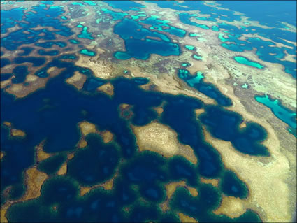 Pelsaert Lagoon - Abrolhos - WA (PBH3 00 4731)