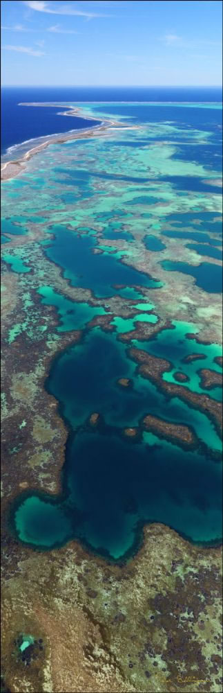 Pelsaert Lagoon - Abrolhos - WA (PBH3 00 4735)