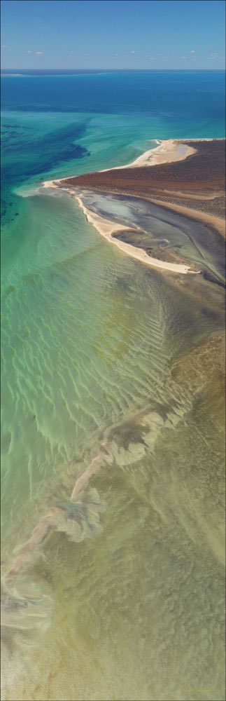 Petit Point - Shark Bay - WA (PBH3 00 4874)