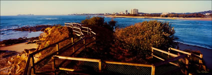 Pincushion to Mooloolaba - QLD (PB 003322)