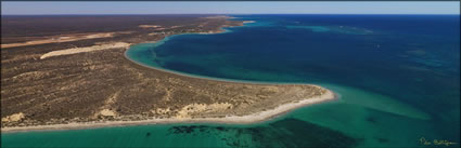 Point Maud - Coral Bay - WA (PBH3 00 7755)