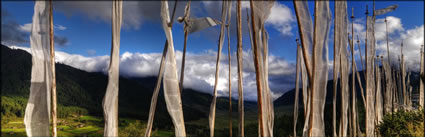 Prayer Flags H (PBH3 00 23847).jpg