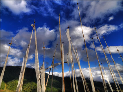 Prayer Flags SQ (PBH3 00 23846)