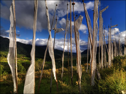 Prayer Flags SQ (PBH3 00 23847)