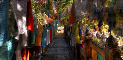 Prayer Flags T (PBH3 00 24064)