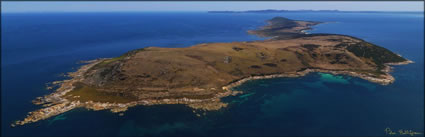 Prime Seal Island - TAS (PBH3 00 15404)