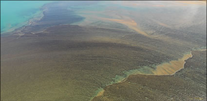 Reef - Bathurst Island - NT (PBH3 00 12447)