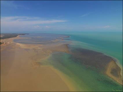 Reef - Bathurst Island - NT (PBH3 00 12466)