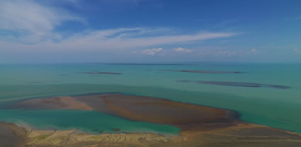 Reef - Bathurst Island - NT (PBH3 00 12470)