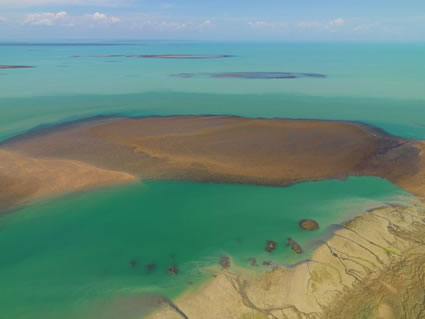 Reef - Bathurst Island - NT (PBH3 00 12471)