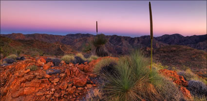 Ridge Top Track - Arkaroola - SA T (PBH3 00 18476)