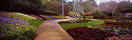 Roma St parklands in Bloom 8 - QLD  (PB 003363)