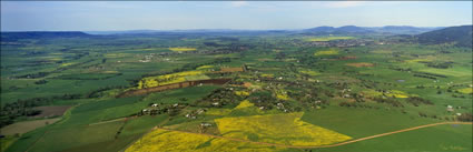 Scone Suburb - NSW (PB00 6035)