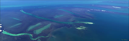 Seagrass Meadows - Shark Bay - WA (PBH3 00 4856)