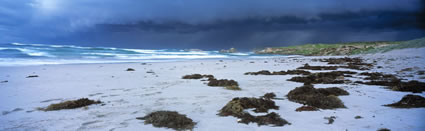 Seal Bay Kangaroo Island - SA