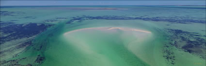 Shark Bay - WA (PBH3 00 4866)