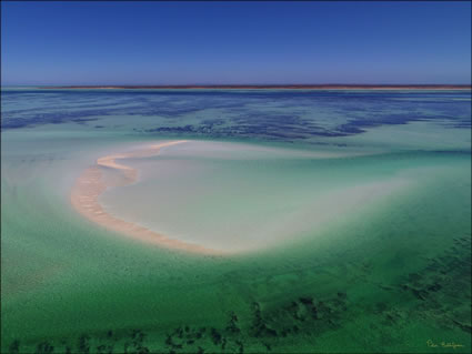 Shark Bay - WA (PBH3 00 4867)