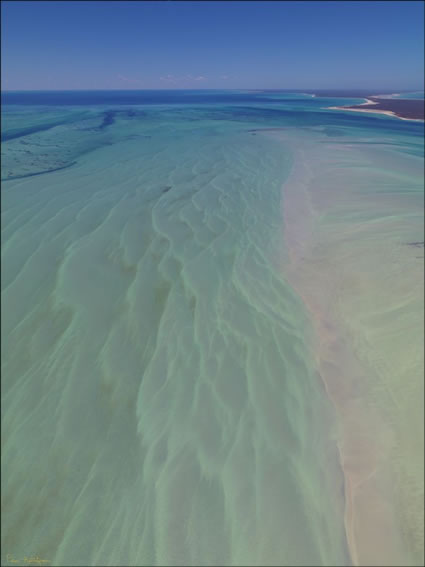 Shark Bay - WA (PBH3 00 4870)