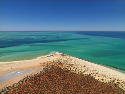 Shark Bay - WA (PBH3 00 4876)