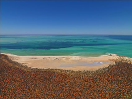 Shark Bay - WA (PBH3 00 4877)