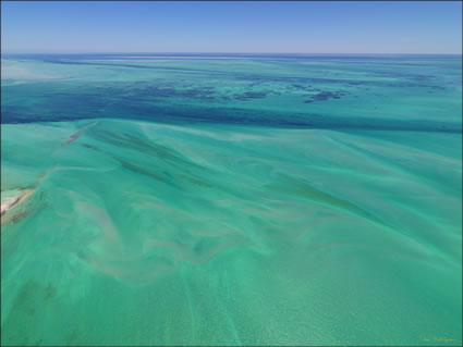 Shark Bay - WA (PBH3 00 4879)