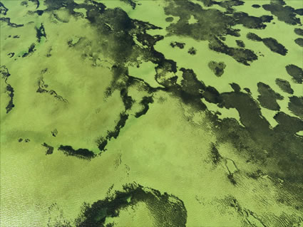 Shark Bay - WA (PBH3 00 7878)
