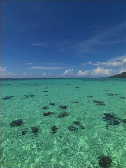 Sheraton Resort - Moorea (PBH3 00 1518)
