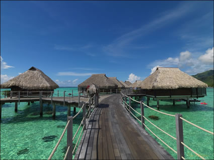 Sheraton Resort - Moorea SQ (PBH3 00 1529)