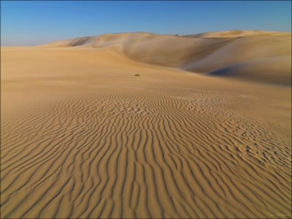 Sheringa Beach Dunes - SA SQ (PBH3 00 26052)