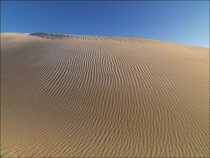 Sheringa Beach Dunes - SA SQ (PBH3 00 26055)