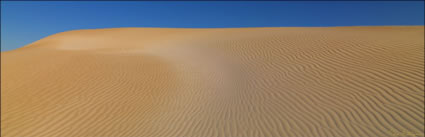 Sheringa Dunes - SA (PBH3 00 26050)