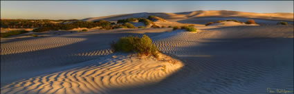 Sheringa Dunes - SA (PBH3 00 2606)
