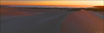 Sheringa Dunes - SA (PBH3 00 26076)
