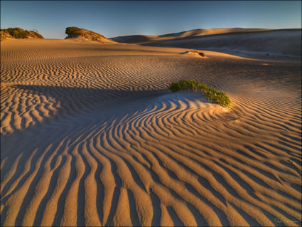 Sheringa Dunes - SA SQ (PBH3 00 26071)