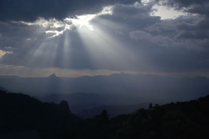 Shining Through - Lamington National Park - QLD