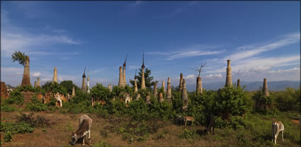 Shwe Inn Thein Paya T (PBH3 00  15212)
