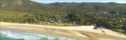 Sisters Beach - TAS (PBH3 00 0626)